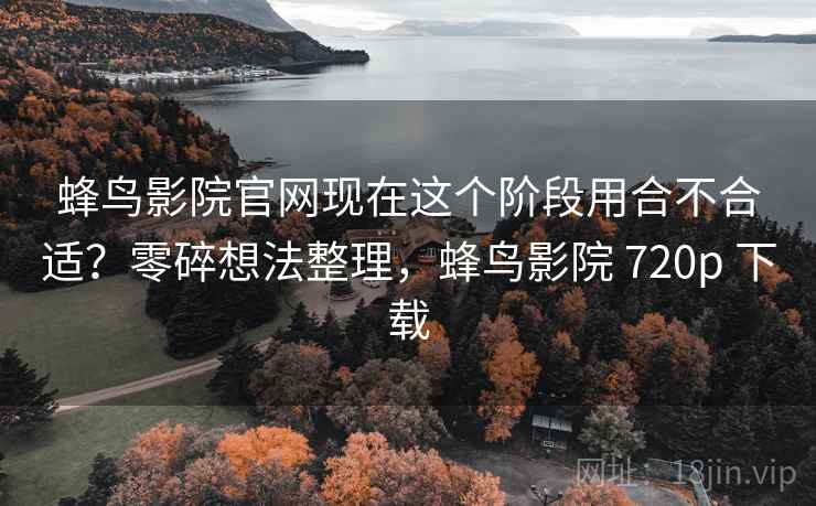 蜂鸟影院官网现在这个阶段用合不合适?零碎想法整理,蜂鸟影院 720p 下载