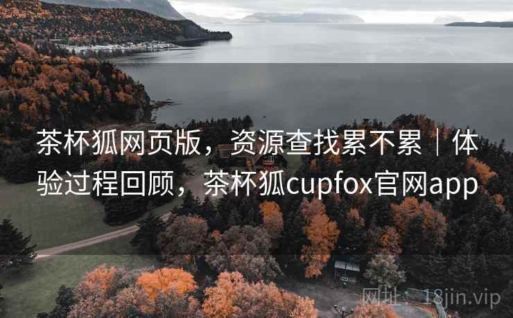 茶杯狐网页版，资源查找累不累｜体验过程回顾，茶杯狐cupfox官网app