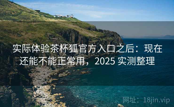 实际体验茶杯狐官方入口之后：现在还能不能正常用，2025 实测整理  第2张