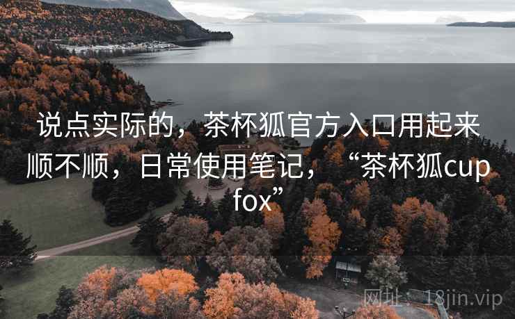 说点实际的，茶杯狐官方入口用起来顺不顺，日常使用笔记，“茶杯狐cupfox”