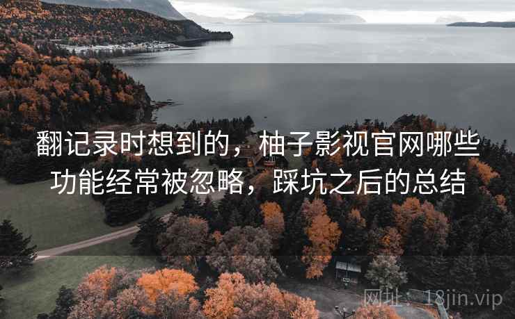 翻记录时想到的，柚子影视官网哪些功能经常被忽略，踩坑之后的总结