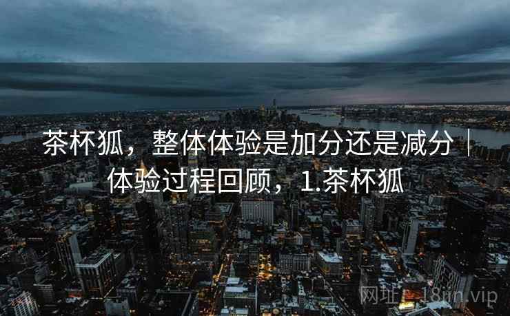 茶杯狐,整体体验是加分还是减分|体验过程回顾,1.茶杯狐