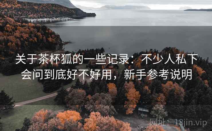 关于茶杯狐的一些记录：不少人私下会问到底好不好用，新手参考说明