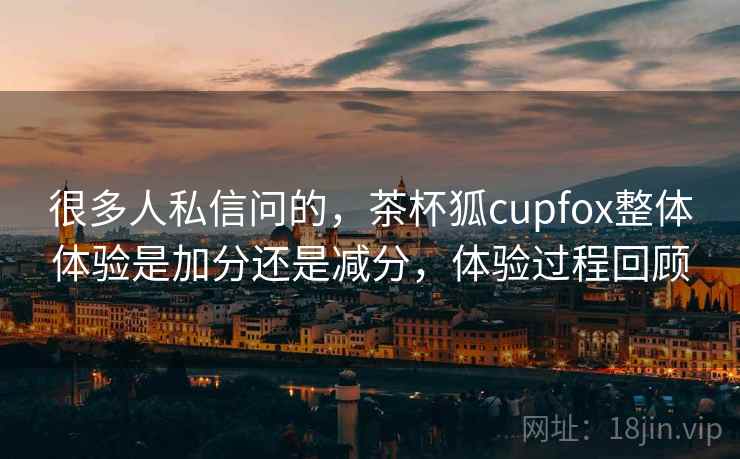 很多人私信问的，茶杯狐cupfox整体体验是加分还是减分，体验过程回顾  第2张